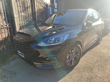 Ford Kuga 2.0 ecoblue ST-Line 2wd 120cv auto