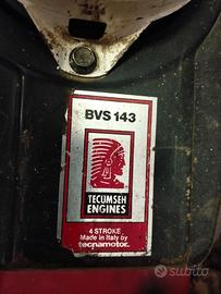 Tagliaerba a Benzina