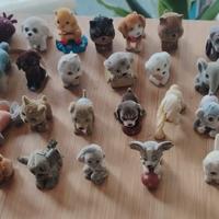 Cuccioli cerc amici