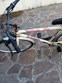 Bicicletta da uomo