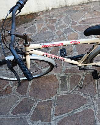 Bicicletta da uomo