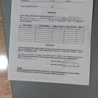 Cardellino maschio di 3 anni euit top Mauro