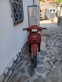 Scarabeo