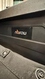 Sedia a rotelle per diversamente abili