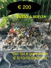Animali vari