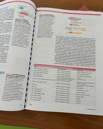 L'ESSENZIALE DI BIOLOGIA MOLECOLARE DELLA CELLULA 