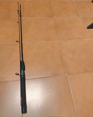 Canna da pesca Fenwick Eagle GLG