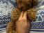 Immagine 3
