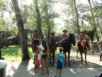 Cavalli & pony per principianti