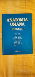 Anatomia umana Principi