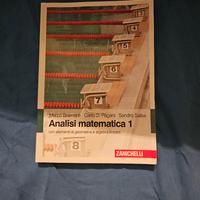 UNIVERSITÀ -  ANALISI 1 - BRAMANTI PAGANI SALSA