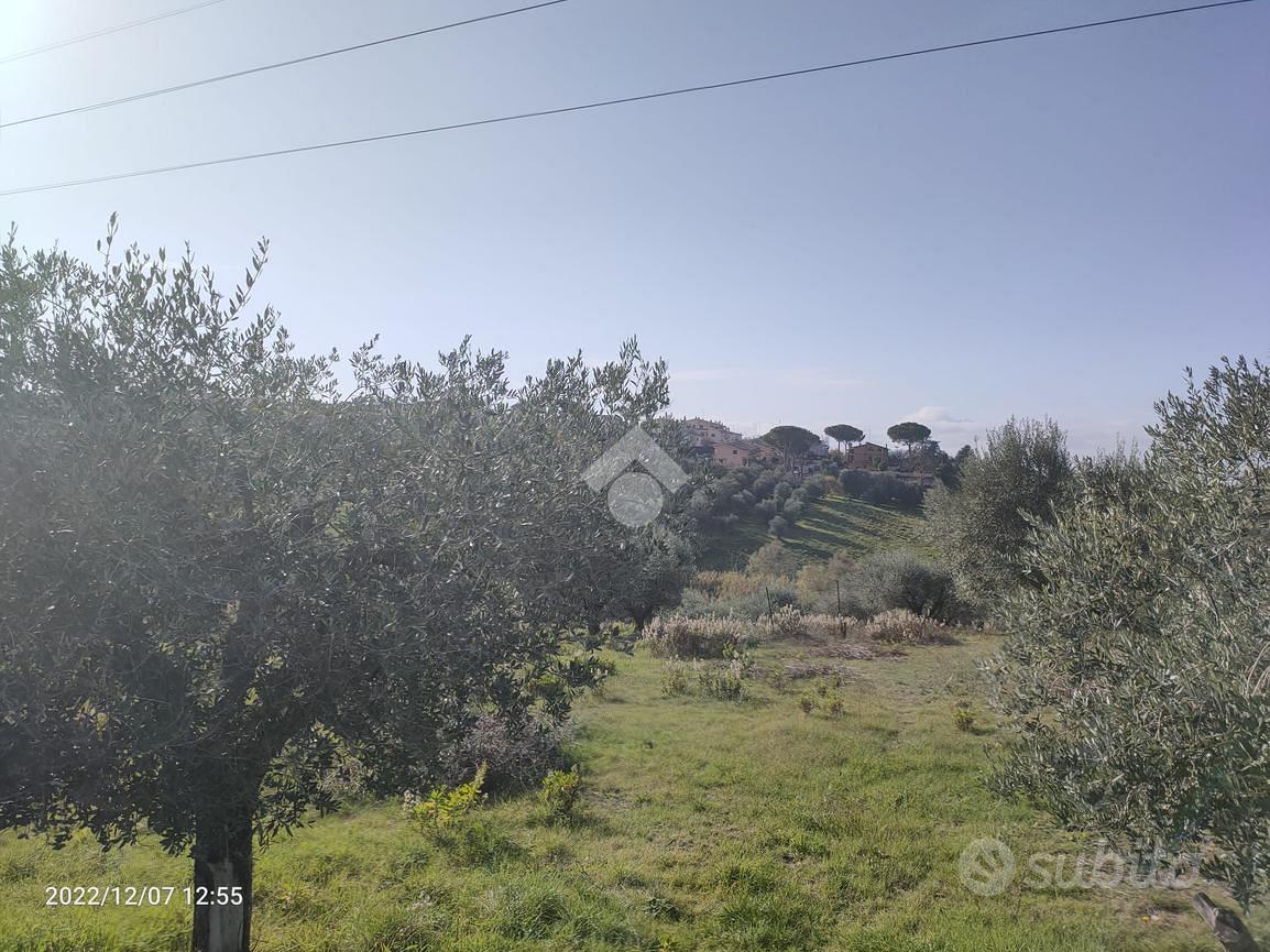 TER. AGRICOLO A MENTANA - Vista 4