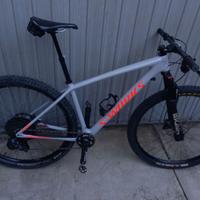 Specialized Epic Hardtail