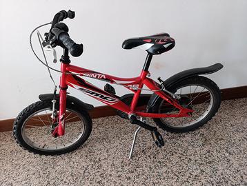 Bicicletta da bambino