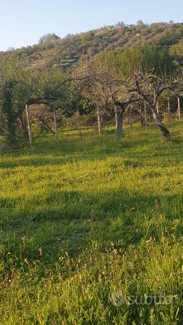 Terreno agricolo pianeggiante - View 2