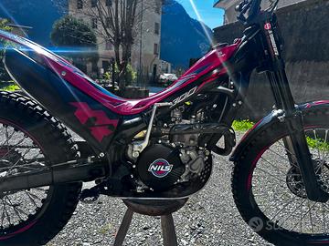 Montesa 300 rr