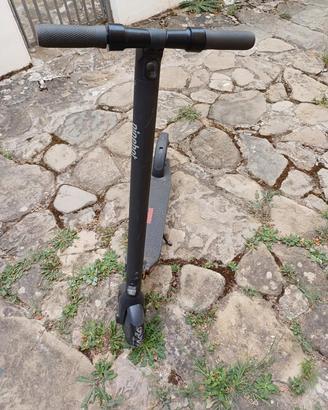 Monopattino ninebot KickScooter