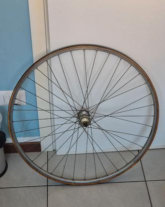 2 cerchi per palmer 700 mm