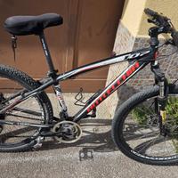 Bottecchia 107 