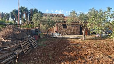 rustico di 40mq e terreno di 4mila metri, uliveto.
