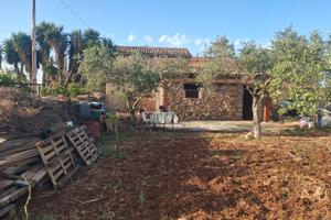 rustico di 40mq e terreno di 4mila metri, uliveto.