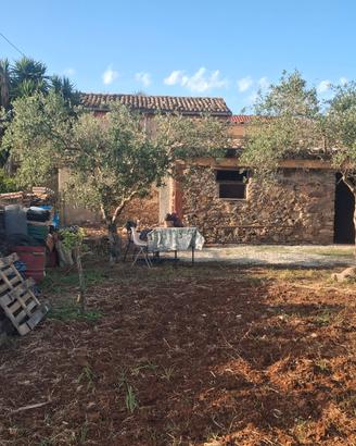 rustico di 40mq e terreno di 4mila metri, uliveto.