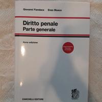 Diritto penale parte generale Nona edizione