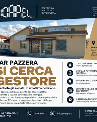Ramo d'azienda