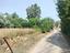 Immagine 22