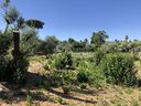 terreno-residenziale-a-formello