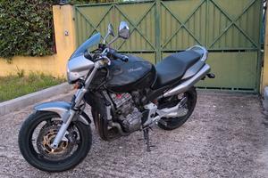 Honda Hornet 900 - 2003
