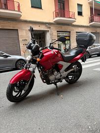 Yamaha YBR 250 - 2009