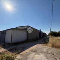 CAPANNONE A APRICENA