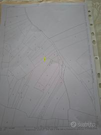 Terreno trazzera Alcamo - Calatafimi
