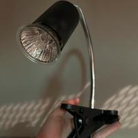 Lampada Riscaldante Tartarughe