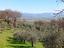 Immagine 20