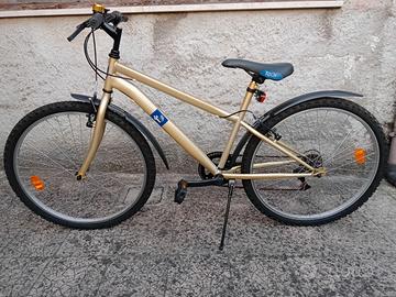 Bicicletta MTB Baci Perugina 26".