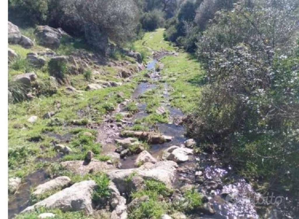 Immobile in asta di 315654 m² a Orotelli - Vista 4