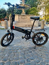 Bicicletta elettrica 
