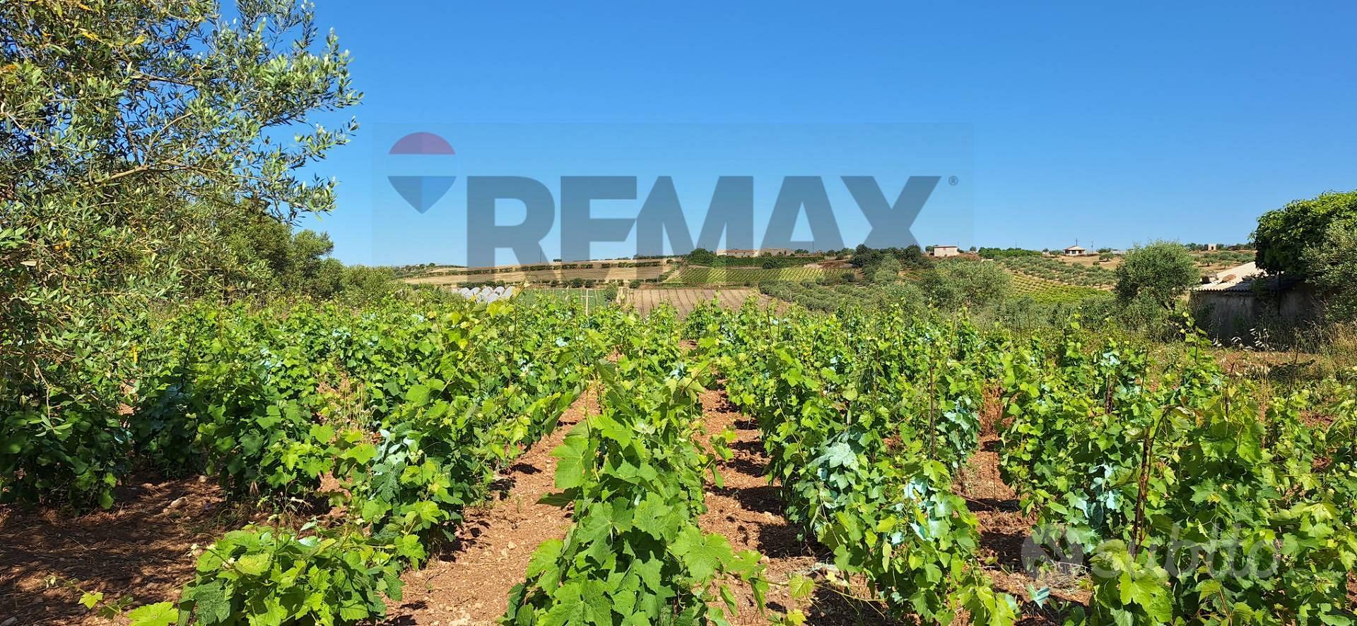 Terreno - Noto - Vista 5