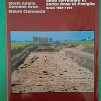 Il villaggio piccolo della terramara di Poviglio