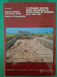 Il villaggio piccolo della terramara di Poviglio