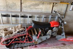 Motoslitta Alpenscooter Pozza