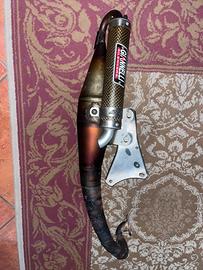 Marmitta gianneli reverse