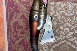 Marmitta gianneli reverse