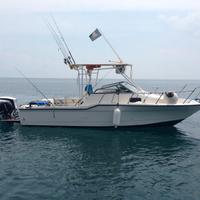 Bayliner Trophy 23.50