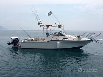 Bayliner Trophy 23.50