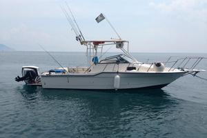 Bayliner Trophy 23.50