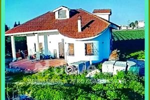 Villa SP15, snc, 76015, Trinitapoli