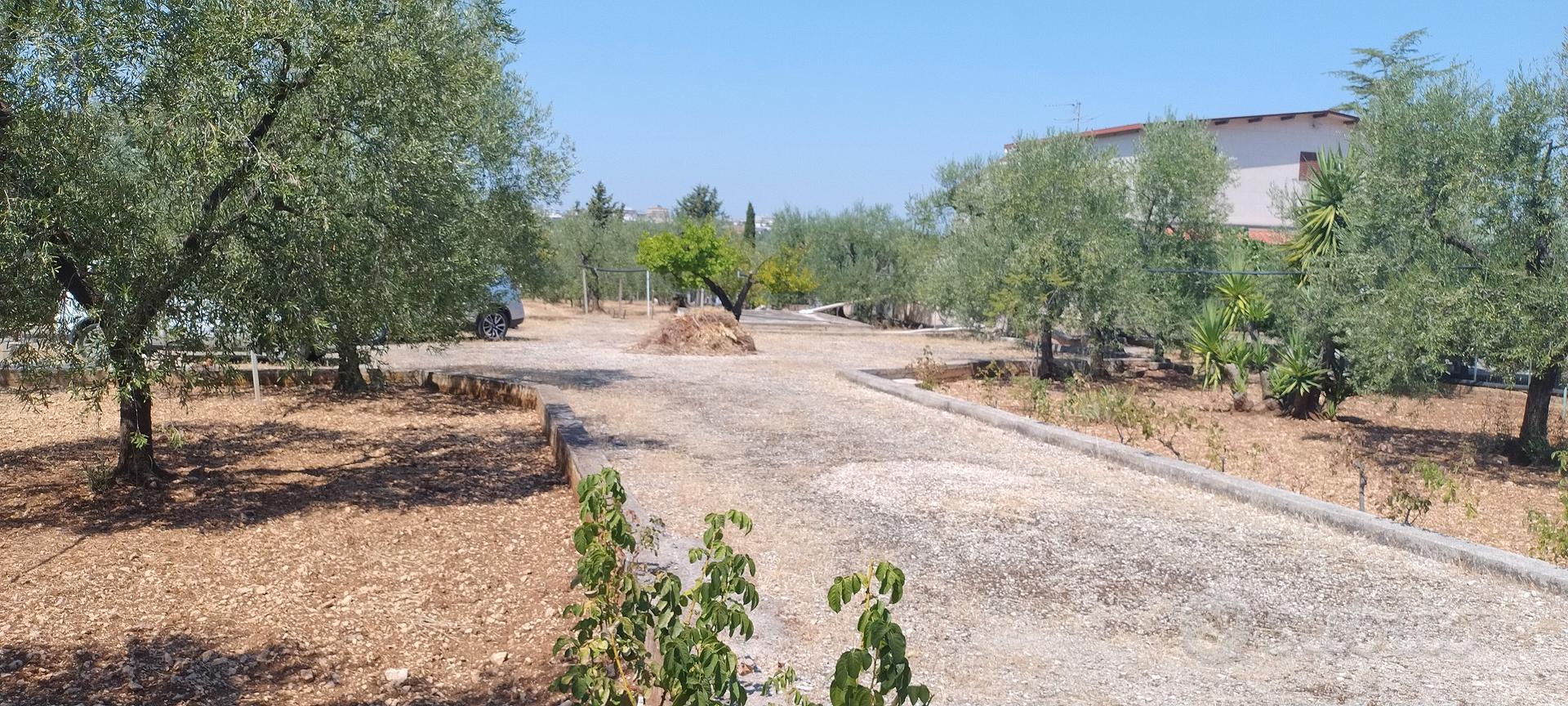 terreno edificabile - Vista 4